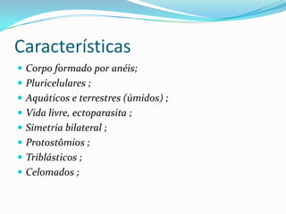 Características
 Corpo formado por anéis;
 Pluricelulares ;
 Aquáticos e terrestres (úmidos) ;
 Vida livre, ectoparasita ;
 Simetria bilateral ;
 Protostômios ;
 Triblásticos ;
 Celomados ;
 