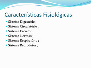 Características Fisiológicas
 Sistema Digestório ;
 Sistema Circulatório ;
 Sistema Excretor ;
 Sistema Nervoso ;
 Sistema Respiratório ;
 Sistema Reprodutor ;
 