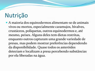 Nutrição
 A maioria dos equinodermos alimentam-se de animais
vivos ou mortos, especialmente caramujos, bivalves,
crustáceos, poliquetas, outros equinodermos e, até
mesmo, peixes. Alguns deles tem dietas restritas,
enquanto outros capturam uma grande variedade de
presas, mas podem mostrar preferências dependendo
da disponibilidade. Quase todos os asteróides
detectam e localizam a presa percebendo substâncias
por ela liberadas na água.
 