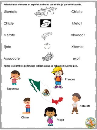 Relaciona los nombres en español y náhuatl con el dibujo que corresponda.
Jitomate Chictle
Chicle Metatl
Metate ahuacatl
Ejote Xitomatl
Aguacate exotl
Rodea los nombres de lenguas indígenas que se hablan en nuestro país.
Zapoteca
Chino
Frances
Nahuatl
Maya
 