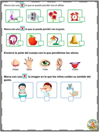 Marca con una lo que se puede percibir con el olfato.
Marca con una lo que se puede percibir con el gusto.
Encierra la parte del cuerpo con la que percibimos los olores.
Marca con una la imagen en la que los niños cuidan su sentido del
gusto.
 