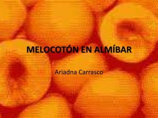 MELOCOTÓN EN ALMÍBAR Ariadna Carrasco  