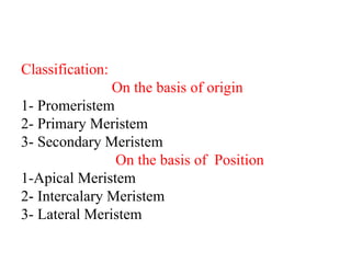 Classification:
On the basis of origin
1- Promeristem
2- Primary Meristem
3- Secondary Meristem
On the basis of Position
1-Apical Meristem
2- Intercalary Meristem
3- Lateral Meristem
 