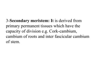 3-Secondary meristem: It is derived from
primary permanent tissues which have the
capacity of division e.g. Cork-cambium,
cambium of roots and inter fascicular cambium
of stem.
 