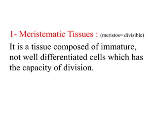 1- Meristematic Tissues : (meristos= divisible)
It is a tissue composed of immature,
not well differentiated cells which has
the capacity of division.
 