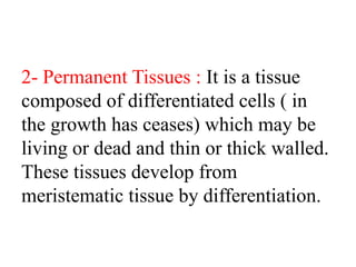 2- Permanent Tissues : It is a tissue
composed of differentiated cells ( in
the growth has ceases) which may be
living or dead and thin or thick walled.
These tissues develop from
meristematic tissue by differentiation.
 