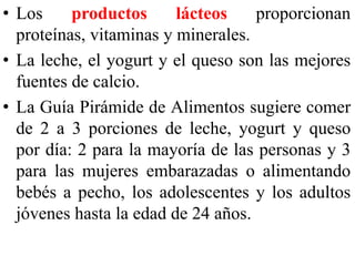 • Los productos lácteos proporcionan 
proteínas, vitaminas y minerales. 
• La leche, el yogurt y el queso son las mejores 
fuentes de calcio. 
• La Guía Pirámide de Alimentos sugiere comer 
de 2 a 3 porciones de leche, yogurt y queso 
por día: 2 para la mayoría de las personas y 3 
para las mujeres embarazadas o alimentando 
bebés a pecho, los adolescentes y los adultos 
jóvenes hasta la edad de 24 años. 
 
