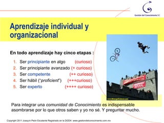 Aprendizaje individual y
  organizacional
  En todo aprendizaje hay cinco etapas :
     1. Ser principiante en algo         (curioso)
     2.    Ser principiante avanzado (+ curioso)
     3.    Ser competente             (++ curioso)
     4.    Ser hábil (“proficient”) (+++curioso)
     5.    Ser experto              (++++ curioso)



    Para integrar una comunidad de Conocimiento es indispensable
    asombrarse por lo que otros saben y yo no sé. Y preguntar mucho.
                                                                                                40
Copyright 2011 Joaquín Peón Escalante Registrado en la DGDA www.gestiondelconocimiento.com.mx
 