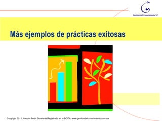 Más ejemplos de prácticas exitosas




                                                                                                94
Copyright 2011 Joaquín Peón Escalante Registrado en la DGDA www.gestiondelconocimiento.com.mx
 