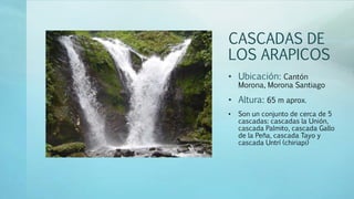 CASCADAS DE
LOS ARAPICOS
• Ubicación: Cantón
Morona, Morona Santiago
• Altura: 65 m aprox.
• Son un conjunto de cerca de 5
cascadas: cascadas la Unión,
cascada Palmito, cascada Gallo
de la Peña, cascada Tayo y
cascada Untrí (chiriapi)
 