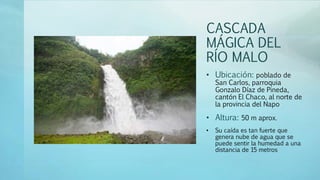 CASCADA
MÁGICA DEL
RÍO MALO
• Ubicación: poblado de
San Carlos, parroquia
Gonzalo Díaz de Pineda,
cantón El Chaco, al norte de
la provincia del Napo
• Altura: 50 m aprox.
• Su caída es tan fuerte que
genera nube de agua que se
puede sentir la humedad a una
distancia de 15 metros
 
