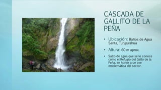 CASCADA DE
GALLITO DE LA
PEÑA
• Ubicación: Baños de Agua
Santa, Tungurahua
• Altura: 60 m aprox.
• Salto de agua que se lo conoce
como el Refugio del Gallo de la
Peña, en honor a un ave
emblemática del sector.
 