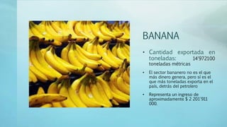 BANANA
• Cantidad exportada en
toneladas: 14'972100
toneladas métricas
• El sector bananero no es el que
más dinero genera, pero sí es el
que más toneladas exporta en el
país, detrás del petrolero
• Representa un ingreso de
aproximadamente $ 2 201'911
000.
 