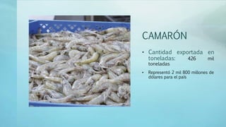 CAMARÓN
• Cantidad exportada en
toneladas: 426 mil
toneladas
• Representó 2 mil 800 millones de
dólares para el país
 