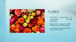 FLORES
• Cantidad exportada en
toneladas: 157.418
toneladas.
• Representó un ingreso de 850
millones al país el año pasado
• La principal exportación de este
sector son las rosas
 