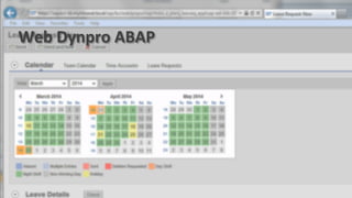 Web	
  Dynpro	
  ABAP	
  
 