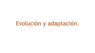 Evolución y adaptación.
Evolución y adaptación.
 