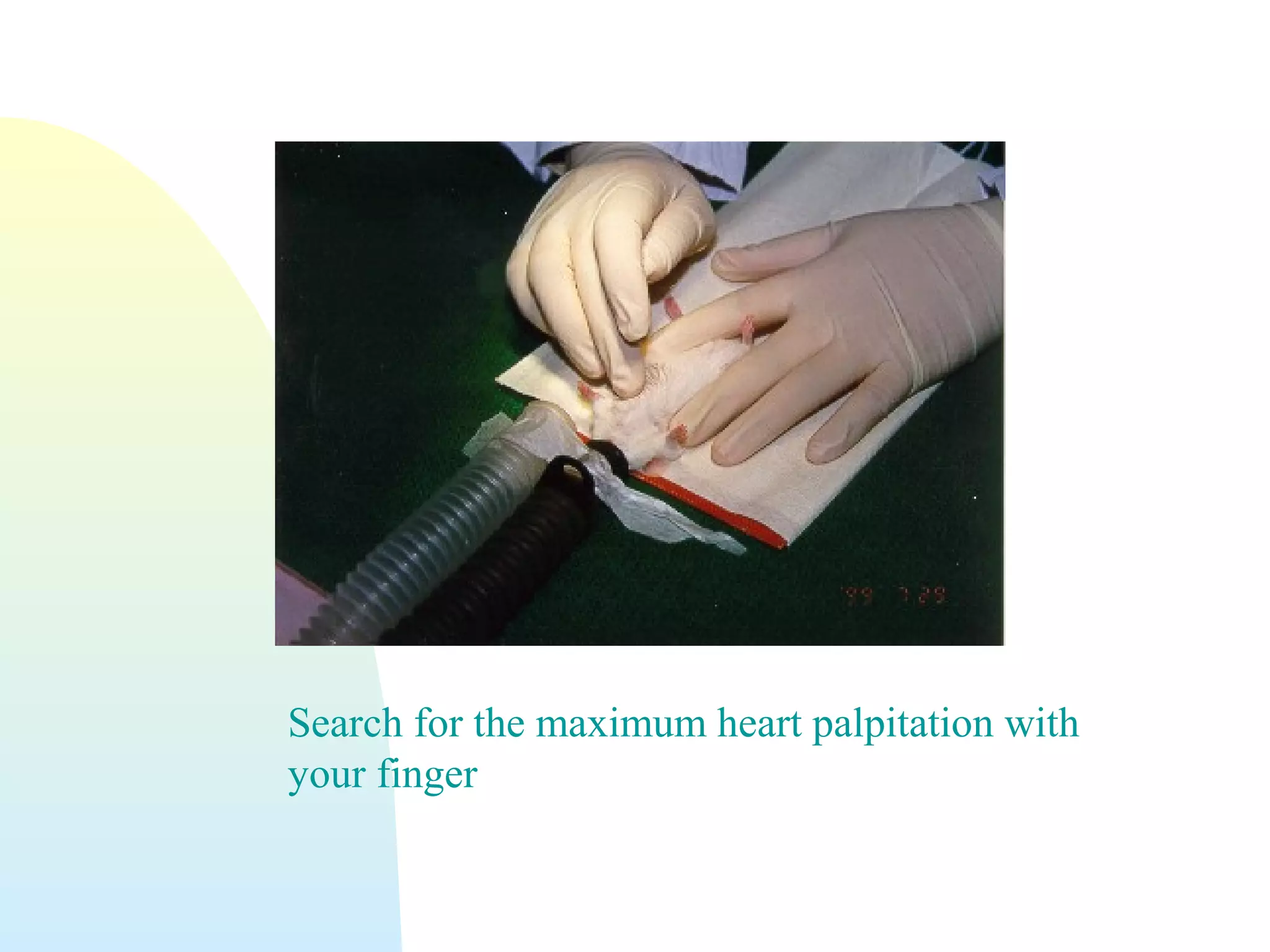 Search for the maximum heart palpitation with
your finger
 