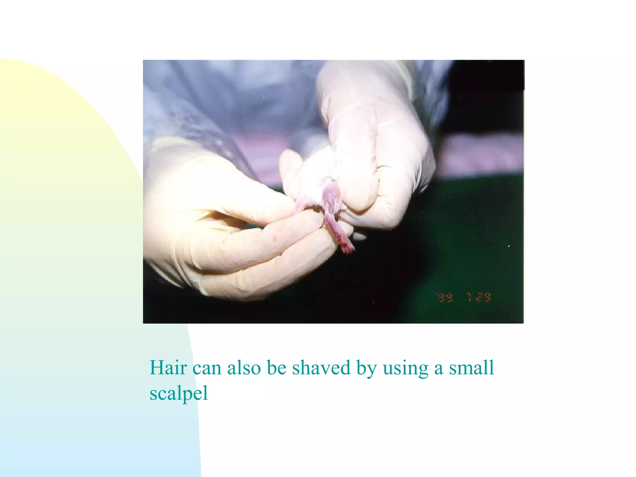 Hair can also be shaved by using a small
scalpel
 
