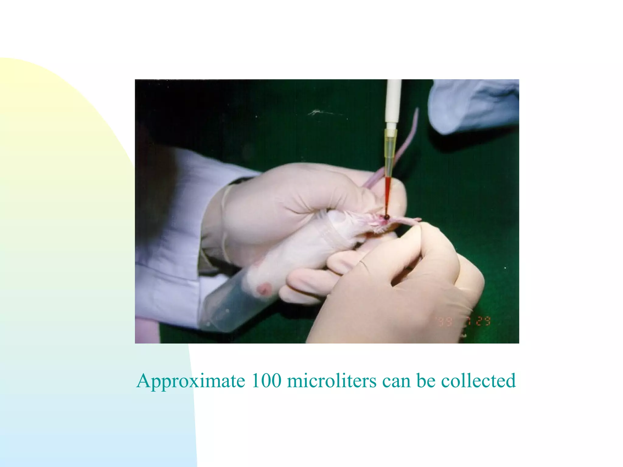 Approximate 100 microliters can be collected
 