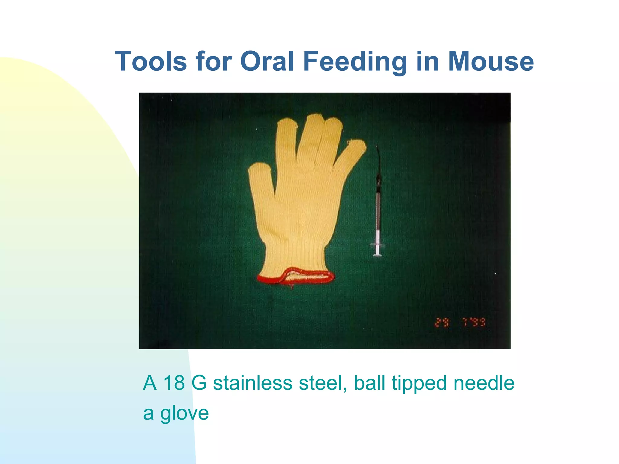 Tools for Oral Feeding in Mouse
A 18 G stainless steel, ball tipped needle
a glove
 