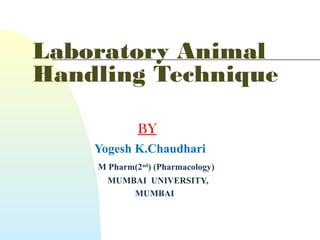 Laboratory Animal
Handling Technique
BY
Yogesh K.Chaudhari
M Pharm(2nd
) (Pharmacology)
MUMBAI UNIVERSITY,
MUMBAI
 