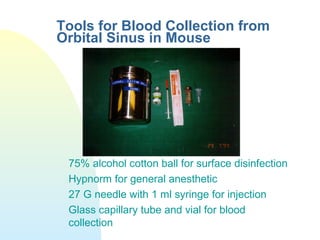 Tools for Blood Collection from
Orbital Sinus in Mouse
75% alcohol cotton ball for surface disinfection
Hypnorm for general anesthetic
27 G needle with 1 ml syringe for injection
Glass capillary tube and vial for blood
collection
 