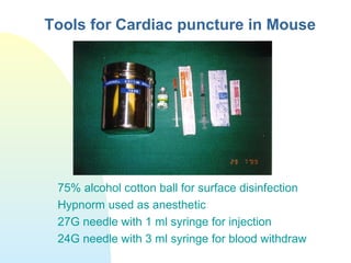 Tools for Cardiac puncture in Mouse
75% alcohol cotton ball for surface disinfection
Hypnorm used as anesthetic
27G needle with 1 ml syringe for injection
24G needle with 3 ml syringe for blood withdraw
 