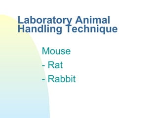 Laboratory Animal
Handling Technique
Mouse
- Rat
- Rabbit
 