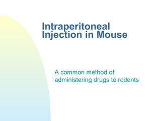 Intraperitoneal
Injection in Mouse
A common method of
administering drugs to rodents
 