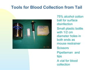 Tools for Blood Collection from Tail
75% alcohol cotton
ball for surface
disinfection
Small plastic bottle
with 1/2 cm
diameter holes in
both ends as
mouse restrainer
Scissors
Pipetteman and
tips
A vial for blood
collection
 
