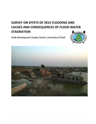 SURVEY ON EFFETS OF 2015 FLOODING AND
CAUSES AND CONSEQUENCES OF FLOOD WATER
STAGNATION
Sindh Development Studies Centre, University of Sindh
 
