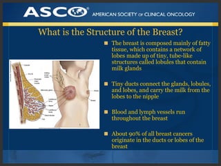 What is the Structure of the Breast?
The breast is composed mainly of fatty
tissue, which contains a network of
lobes made...