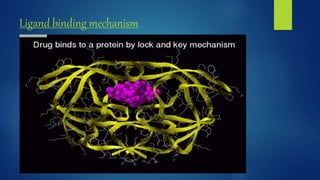 Ligand binding mechanism
 