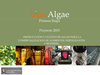 PRODUCCCION Y CULTIVO DE ALGAS PARA LA
COMERCIALIZACION DE ALIMENTOS, FERTILIZANTES
Y BIODIESEL
Primera Etapa
Proyecto 2015
bion Algae
 