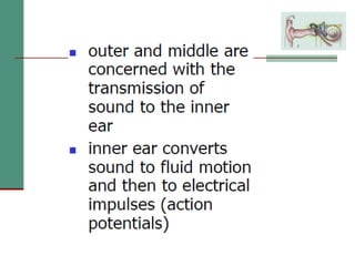 2(a) anatomy and physiology of the peripheral and central auditory ...