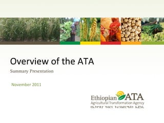 Overview of the ATA  November 2011 Summary Presentation 