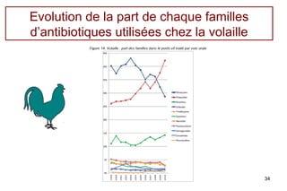 Evolution de la part de chaque familles
d’antibiotiques utilisées chez la volaille




                                   ...