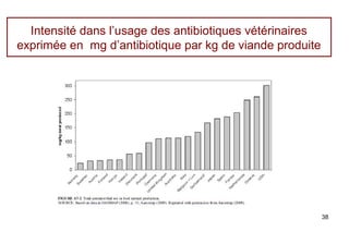 Intensité dans l’usage des antibiotiques vétérinaires
exprimée en mg d’antibiotique par kg de viande produite




                                                          38
 