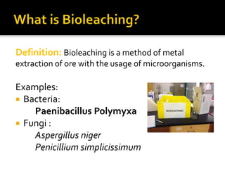 Mid-Term-Bioleaching-Presentation-2015 | PPTX