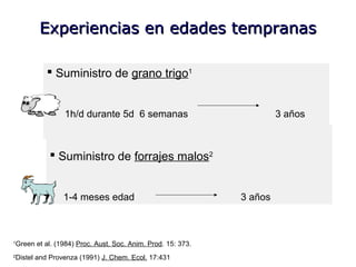 Experiencias en edades tempranasExperiencias en edades tempranas
 Suministro de grano trigo1
1h/d durante 5d 6 semanas 3 años
1
Green et al. (1984) Proc. Aust. Soc. Anim. Prod. 15: 373.
 Suministro de forrajes malos2
1-4 meses edad 3 años
2
Distel and Provenza (1991) J. Chem. Ecol. 17:431
 