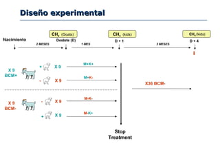 Diseño experimentalDiseño experimental
X 9
X 9
BCM+
BCM-
Nacimiento
+
+
-
-
X 9
X 9
X 9
X 9
CH4 (kids)
X36 BCM-
2 MESES
CH4 (kids)
1 MES 3 MESES
Destete (D)
Stop
Treatment
M+K+
M+K-
M-K-
M-K+
CH4 (Goats)
D + 1 D + 4
 