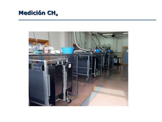 Medición CHMedición CH44
 