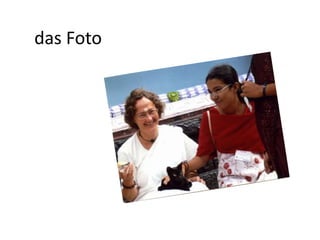 das Foto 
 
