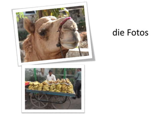 die Fotos 
 