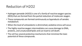 H2o2 Reduction 2 Abnormalities In Carbohydrate Metabolism.pptx