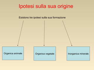 Ipotesi sulla sua origine
Esistono tre ipotesi sulla sua formazione

Organica animale

Organica vegetale

Inorganica minerale

 