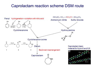 Caprolactam reaction scheme DSM route
 