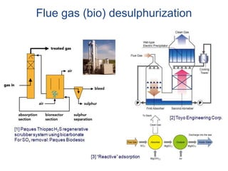 Flue gas (bio) desulphurization
 
