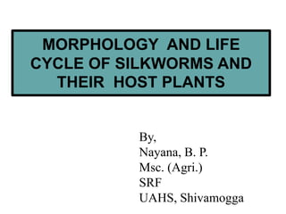 MORPHOLOGY AND LIFE
CYCLE OF SILKWORMS AND
THEIR HOST PLANTS
By,
Nayana, B. P.
Msc. (Agri.)
SRF
UAHS, Shivamogga
 